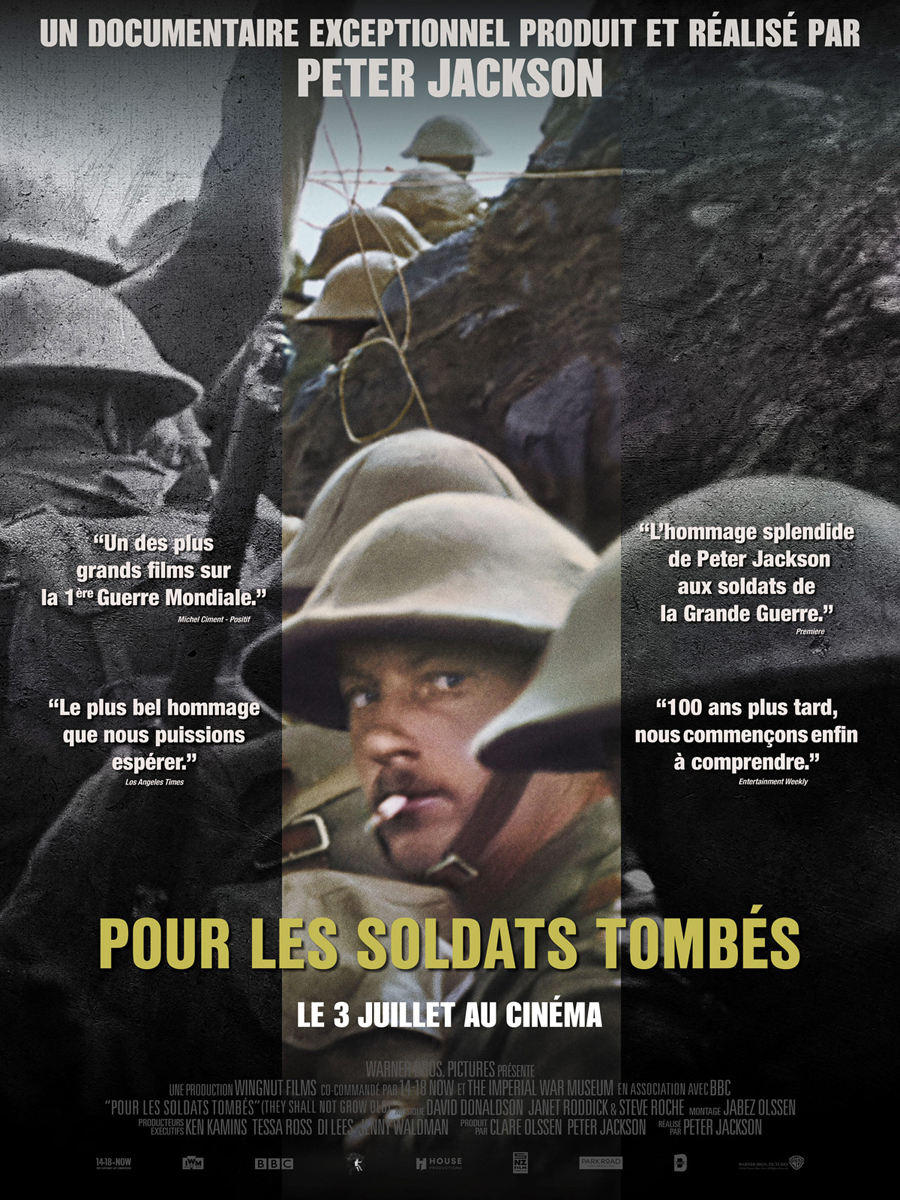 pour-les-soldats-tombes-affiche